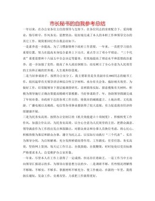 市长秘书的自我参考总结 
