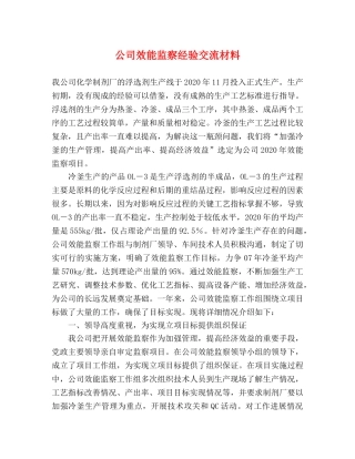 公司效能监察经验交流材料 