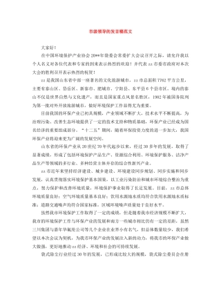 市级领导的发言稿范文 