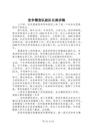 竞争稽查队副队长演讲