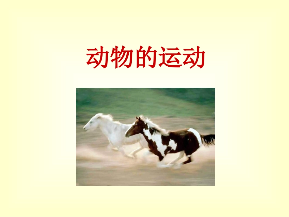 52.1动物的运动_第1页