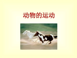 52.1动物的运动