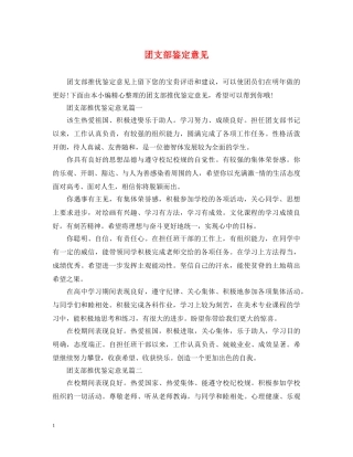 团支部鉴定意见 