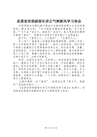 县委宣传部副部长讲正气树新风学习体会