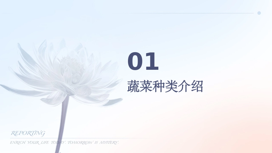 小班蔬菜品种多课件_第3页