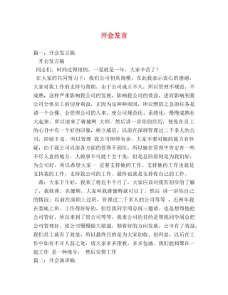 开会发言2 