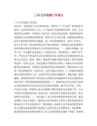 二OO五年检察工作要点 