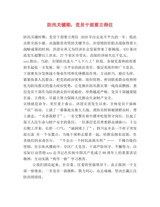 防汛关键期，党员干部要立得住 