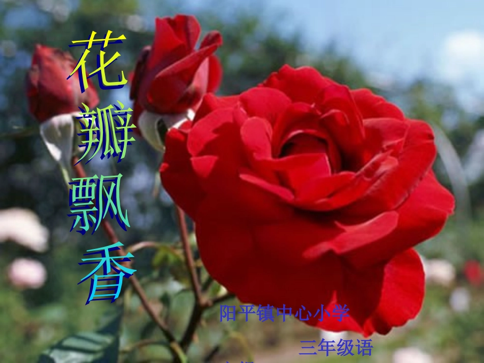 6、花瓣飘香_第2页