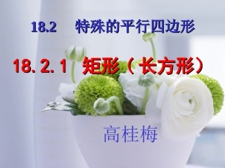 矩形的性质课件