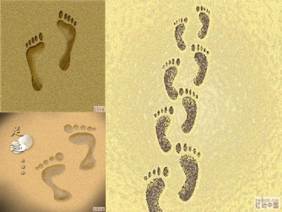 (部编)初中语文人教2011课标版七年级上册走一步-再走一步_第2页