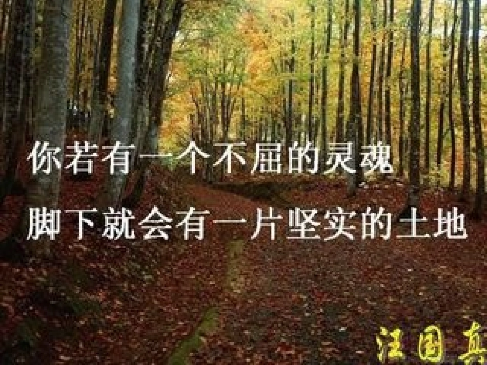 (部编)初中语文人教2011课标版七年级上册走一步-再走一步_第3页