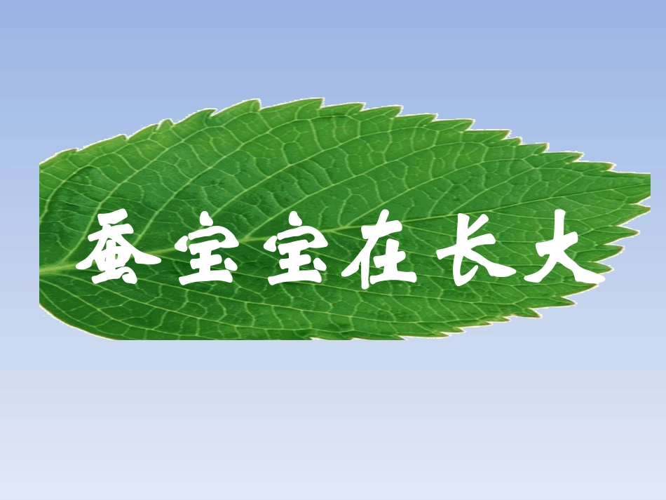 《2-蚕宝宝在长大》课件1_第1页