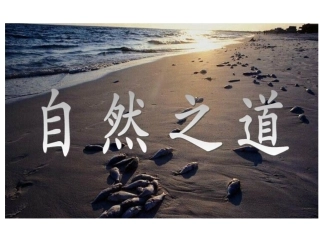 自然之道幻灯片