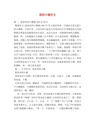 我的小猫作文 