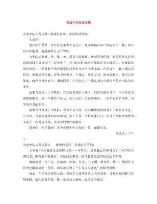 竞选中队长发言稿 