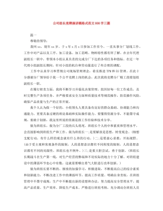 公司组长竞聘演讲稿格式范文800字三篇 