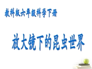 六年级科学下册-放大镜下的昆虫世界1课件-教科版