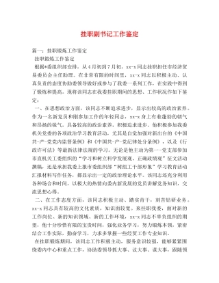 挂职副书记工作鉴定 