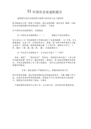 XX年国有企业述职报告