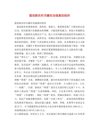 建设新农村关键在加强基层组织 