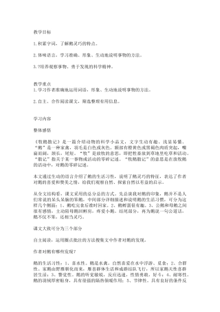 牧鹅散记教学设计