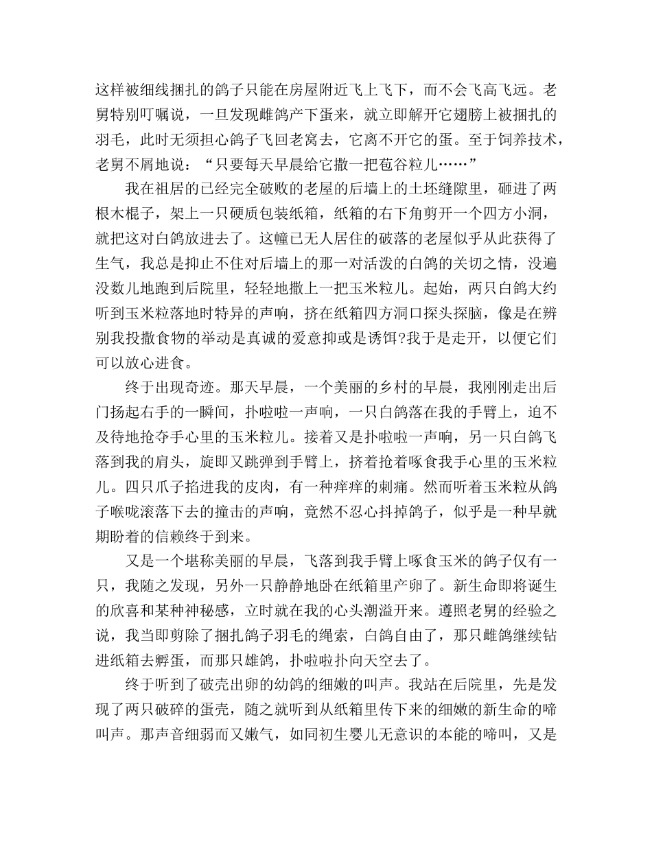 散文告别白鸽 _第2页