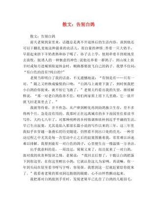 散文告别白鸽 