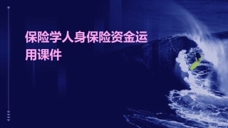 保险学人身保险资金运用课件