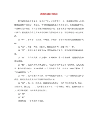 新颖的自我介绍范文 
