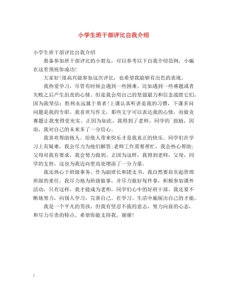 小学生班干部评比自我介绍 