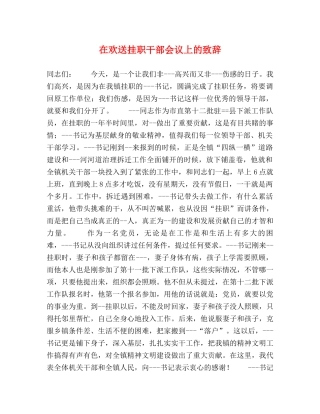 在欢送挂职干部会议上的致辞 