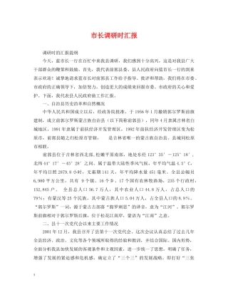 市长调研时汇报 