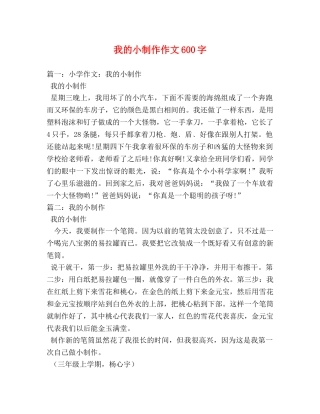 我的小制作作文600字 