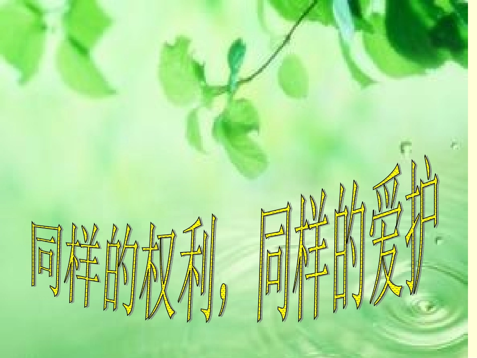 同样的权利-同样的爱护_第1页