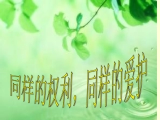 同样的权利-同样的爱护