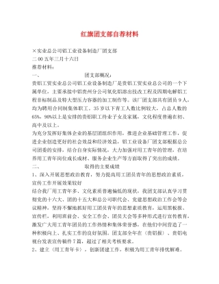 红旗团支部自荐材料 