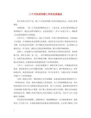 三个月的试用期工作的自我鉴定 