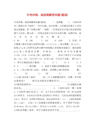 中考冲刺阅读理解型问题(提高) 