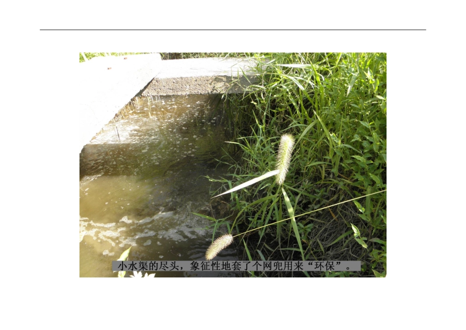 江阴环保局的环境专项整治行动_第1页