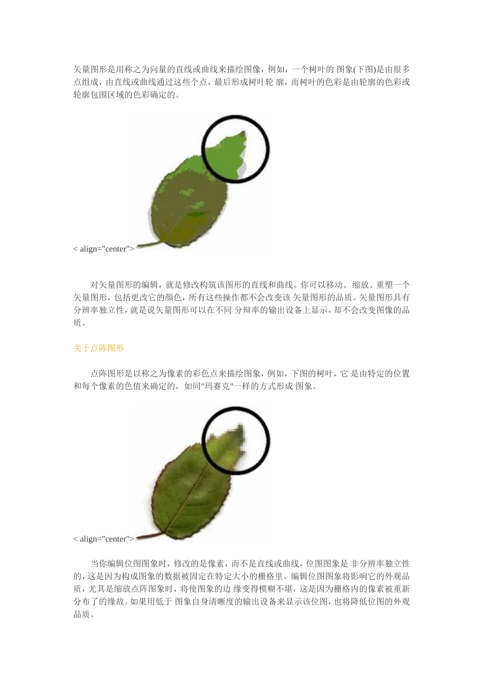 矢量图形是用称之为向量的直线或曲线来描绘图像_第1页