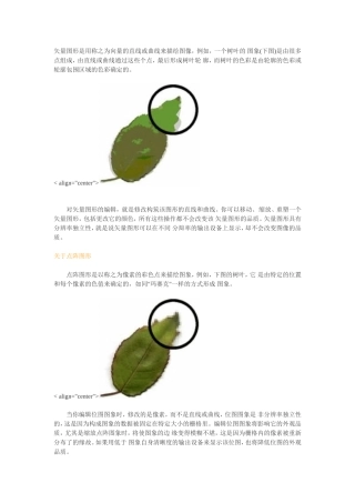 矢量图形是用称之为向量的直线或曲线来描绘图像