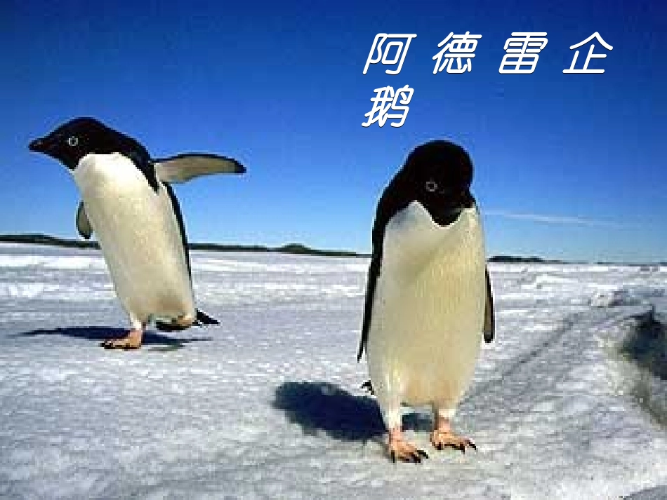 伟大的悲剧-七年级下册_第2页