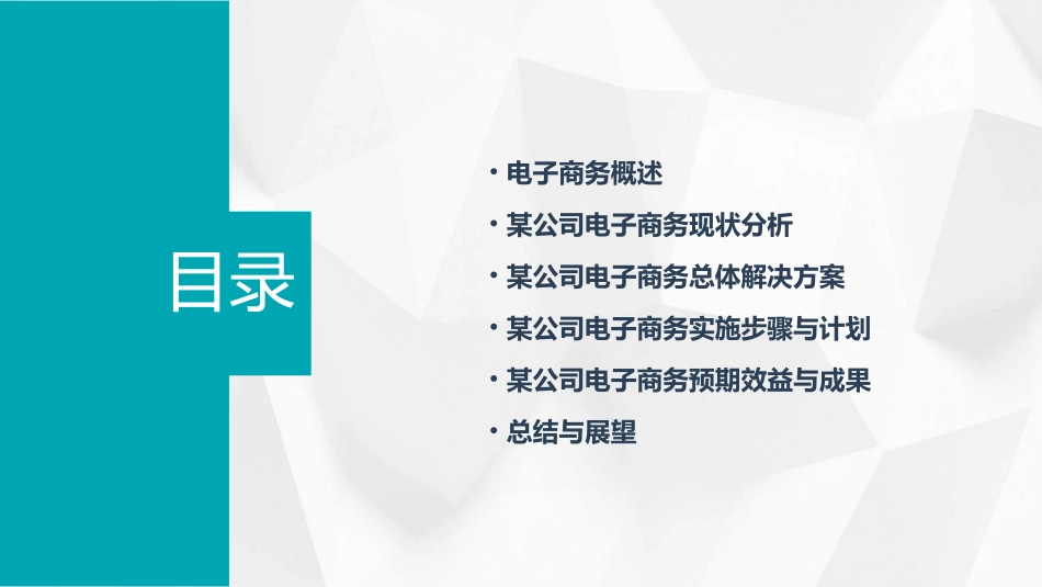 某公司电子商务总体解决方案课件_第2页
