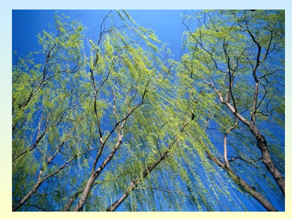 繁盛一时的隋朝PPT_第3页