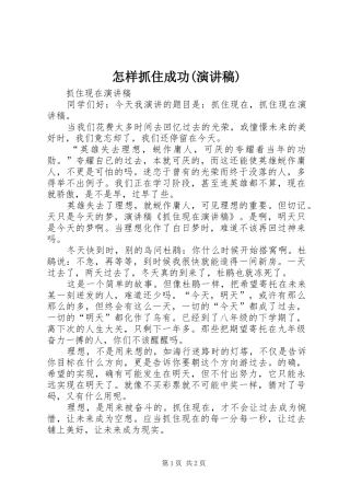 怎样抓住成功(演讲致辞)