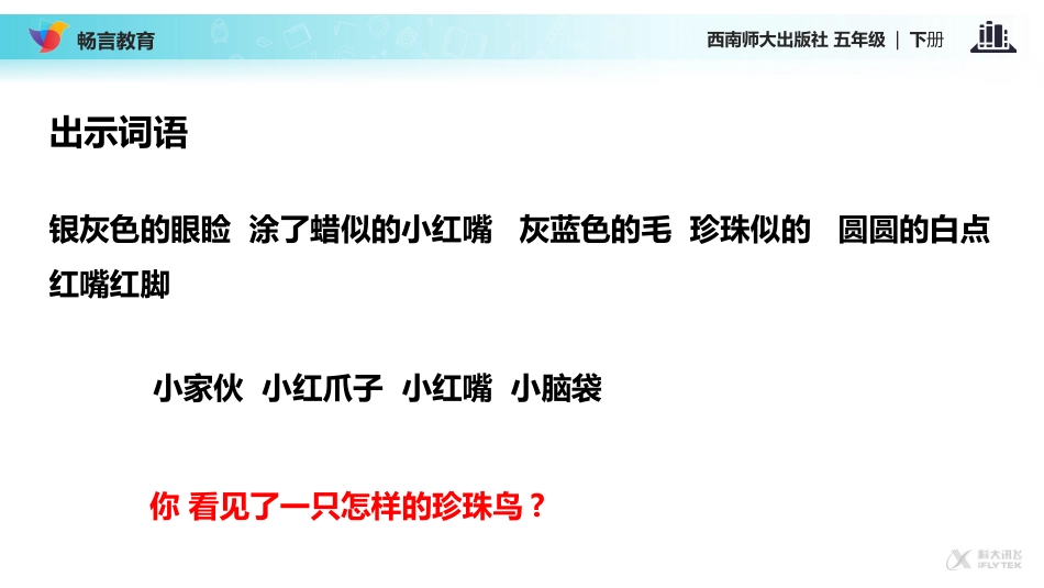 【教学课件】《珍珠鸟》(西南师大)_第3页