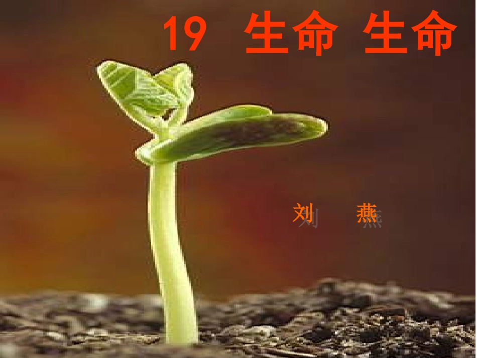 生命生命(第一课时)_第1页