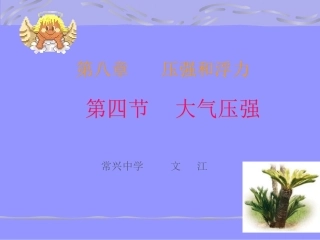 九年级物理大气压