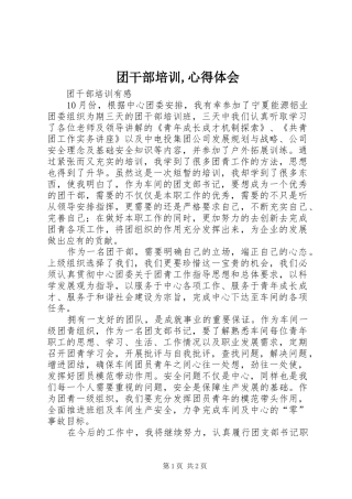 团干部培训,体会心得